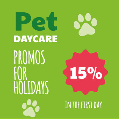 Custom Outdoor Yard Signs Multiple Sizes Pet Daycare