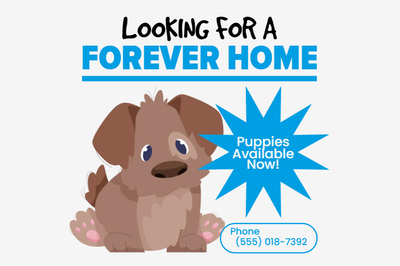 Custom Outdoor Yard Signs Multiple Sizes Puppy for Sale