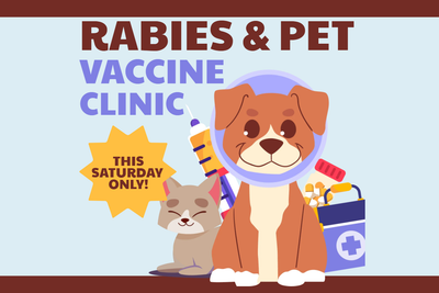 Custom Outdoor Yard Signs Multiple Sizes Pet Vaccination