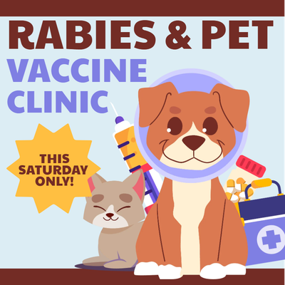 Custom Outdoor Yard Signs Multiple Sizes Pet Vaccination