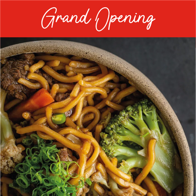 Custom Outdoor Yard Signs Multiple Sizes Grand Opening