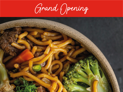 Custom Outdoor Yard Signs Multiple Sizes Grand Opening