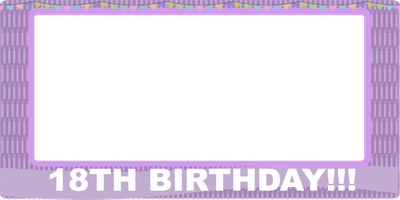 Custom Outdoor Selfie Frames Multiple Sizes 18Th Birthday