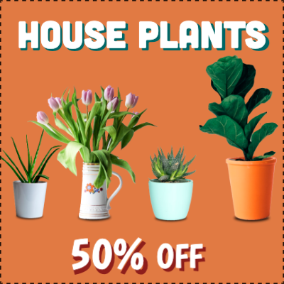 Custom Outdoor Yard Signs Multiple Sizes House Plants