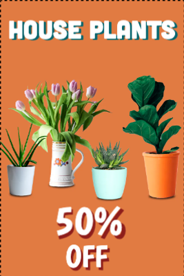 Custom Outdoor Yard Signs Multiple Sizes House Plants