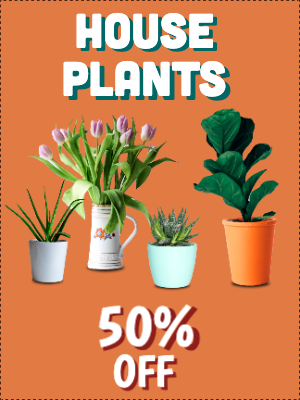Custom Outdoor Yard Signs Multiple Sizes House Plants