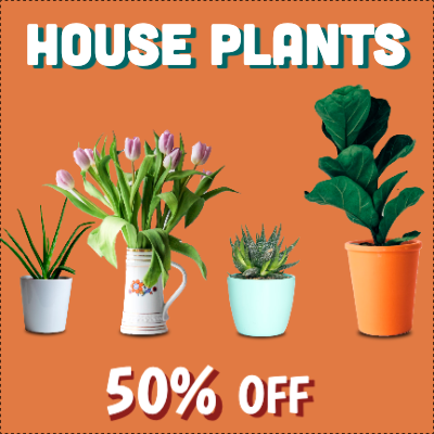 Custom Outdoor Yard Signs Multiple Sizes House Plants