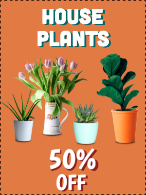 Custom Outdoor Yard Signs Multiple Sizes House Plants