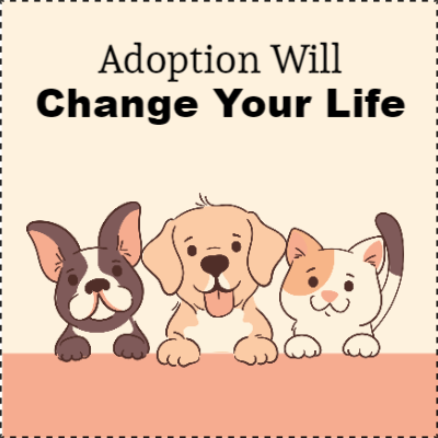 Custom Outdoor Yard Signs Multiple Sizes Pets Adoption