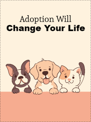Custom Outdoor Yard Signs Multiple Sizes Pets Adoption