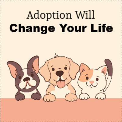Custom Outdoor Yard Signs Multiple Sizes Pets Adoption