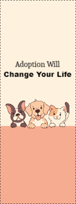 Custom Outdoor Yard Signs Multiple Sizes Pets Adoption