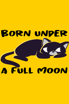 Custom Stickers Multiple Sizes  Black Cat