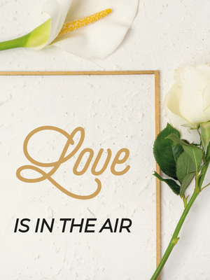 Custom Outdoor Yard Signs Multiple Sizes Love In The Air
