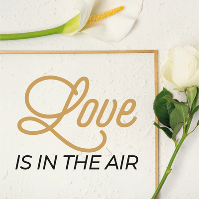Custom Outdoor Yard Signs Multiple Sizes Love In The Air