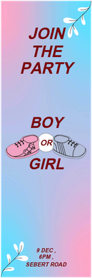Custom Outdoor Yard Signs Multiple Sizes Join the Party Boy or Girl