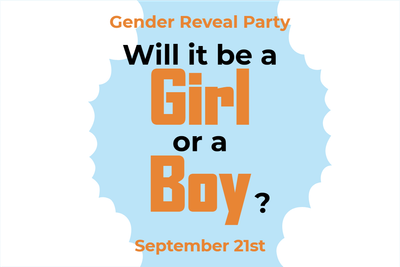 Custom Outdoor Yard Signs Multiple Sizes Will It Be a Girl or a Boy?