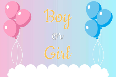 Custom Outdoor Yard Signs Multiple Sizes Boy or Girl 2