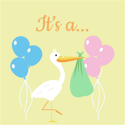 Custom Outdoor Yard Signs Multiple Sizes Gender Reveal It's A