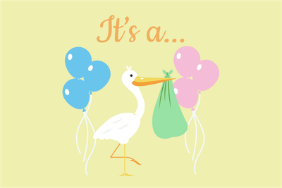 Custom Outdoor Yard Signs Multiple Sizes Gender Reveal It's A