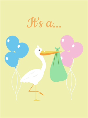 Custom Outdoor Yard Signs Multiple Sizes Gender Reveal It's A