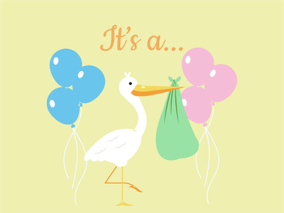 Custom Outdoor Yard Signs Multiple Sizes Gender Reveal It's A