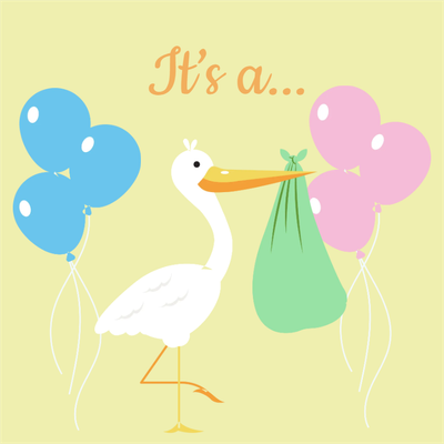 Custom Outdoor Yard Signs Multiple Sizes Gender Reveal It's A