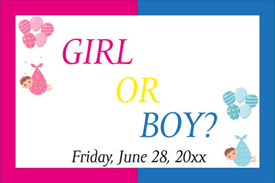 Custom Outdoor Yard Signs Multiple Sizes Girl or Boy? 2