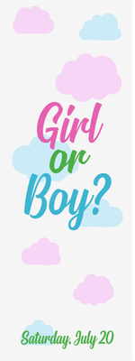 Custom Outdoor Yard Signs Multiple Sizes Pink or Blue