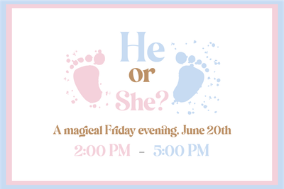 Custom Outdoor Yard Signs Multiple Sizes He or She? Revelation