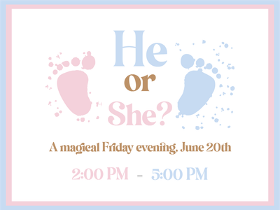 Custom Outdoor Yard Signs Multiple Sizes He or She? Revelation