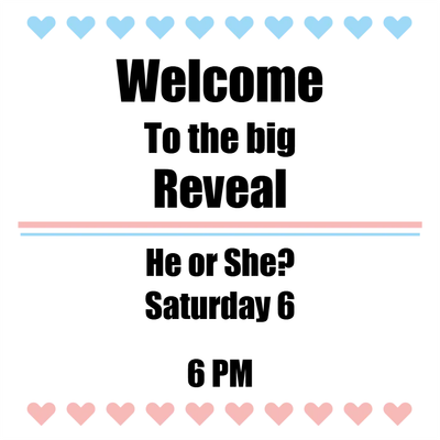 Custom Outdoor Yard Signs Multiple Sizes Welcome to the Big Reveal