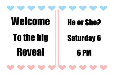 Custom Outdoor Yard Signs Multiple Sizes Welcome to the Big Reveal