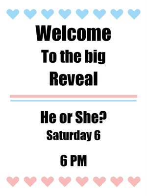 Custom Outdoor Yard Signs Multiple Sizes Welcome to the Big Reveal