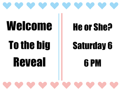 Custom Outdoor Yard Signs Multiple Sizes Welcome to the Big Reveal
