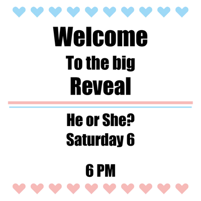 Custom Outdoor Yard Signs Multiple Sizes Welcome to the Big Reveal