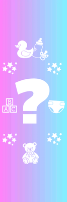 Custom Outdoor Yard Signs Multiple Sizes Gender Guess Game