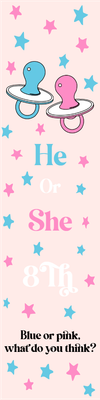 Custom Outdoor Yard Signs Multiple Sizes Blue or Pink?